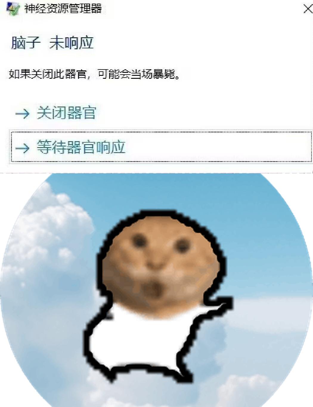 meme no_response